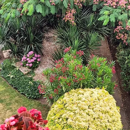 Agreables D'hotes Pres Du Centre Avec Jardin Bed & Breakfast *