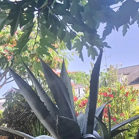 Agreables D'hotes Pres Du Centre Avec Jardin * لو مان