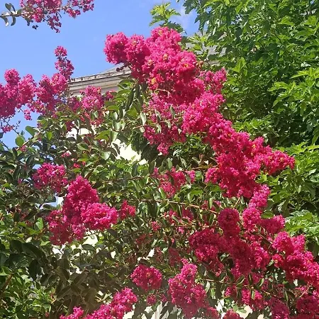 فندق مبيت وإفطار Agreables D'hotes Pres Du Centre Avec Jardin لو مان