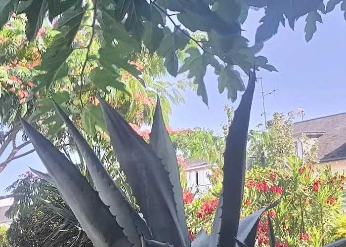 Agreables D'hotes Pres Du Centre Avec Jardin * Le Mans